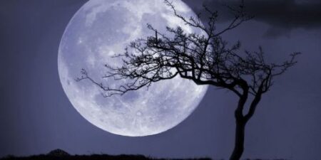 full-moon