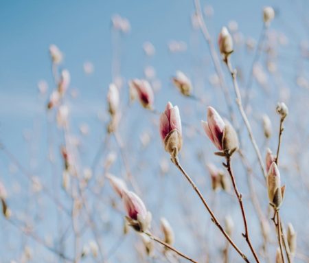kelly-sikkema-Gxzgc6OJjlo-unsplash