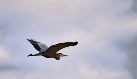 stefan-schwinghammer-oXaVKkmfWFU-unsplash