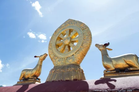Wheel