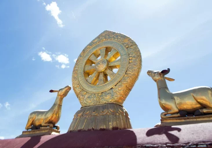 Wheel