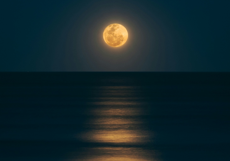 moon moon